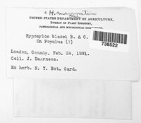 Image Associated With the Occurence
